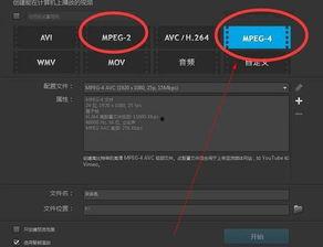 病毒1999在线视频,揭秘世纪末的神秘病毒危机