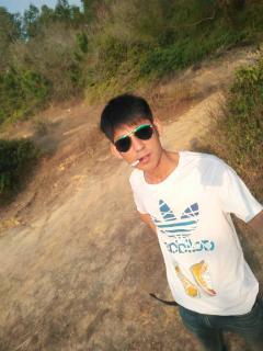 养蜂直播在线视频播放,揭秘蜜蜂王国里的甜蜜生活