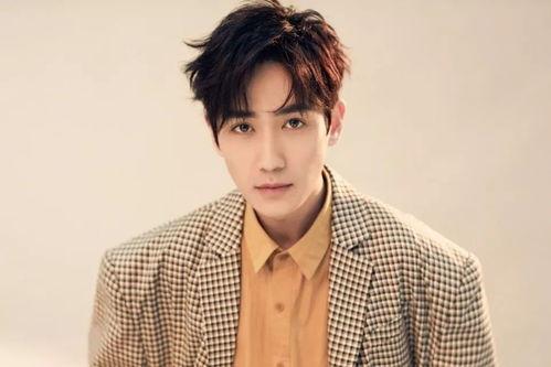 沢井亮在线视频,在线视频中的精彩瞬间与深刻见解